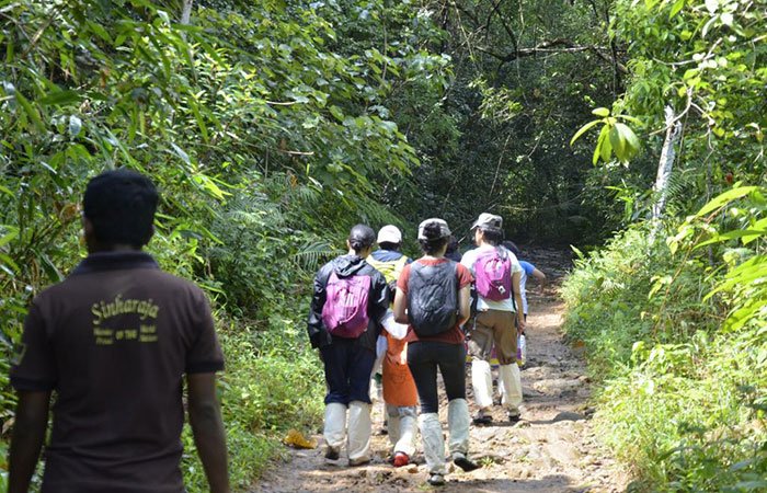 sinharaja rainforest trek